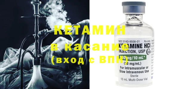 шишки Заводоуковск