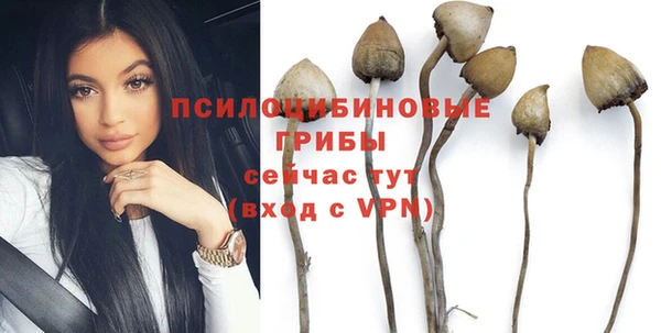шишки Заводоуковск