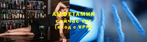 шишки Заводоуковск
