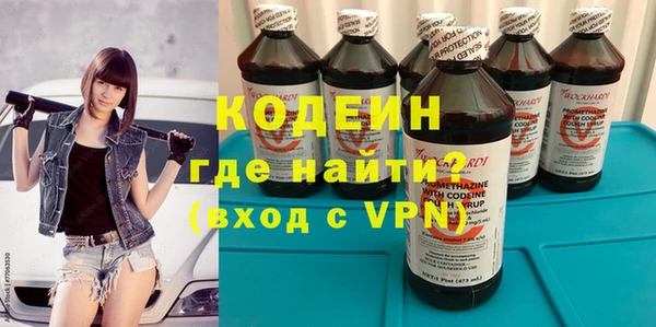 шишки Заводоуковск