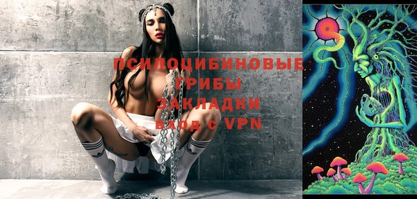 шишки Заводоуковск