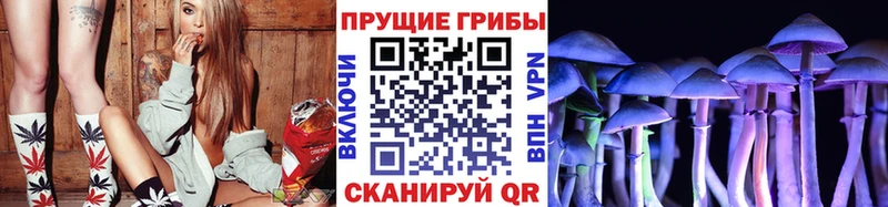 Псилоцибиновые грибы GOLDEN TEACHER  Купить закладки  Долинск 
